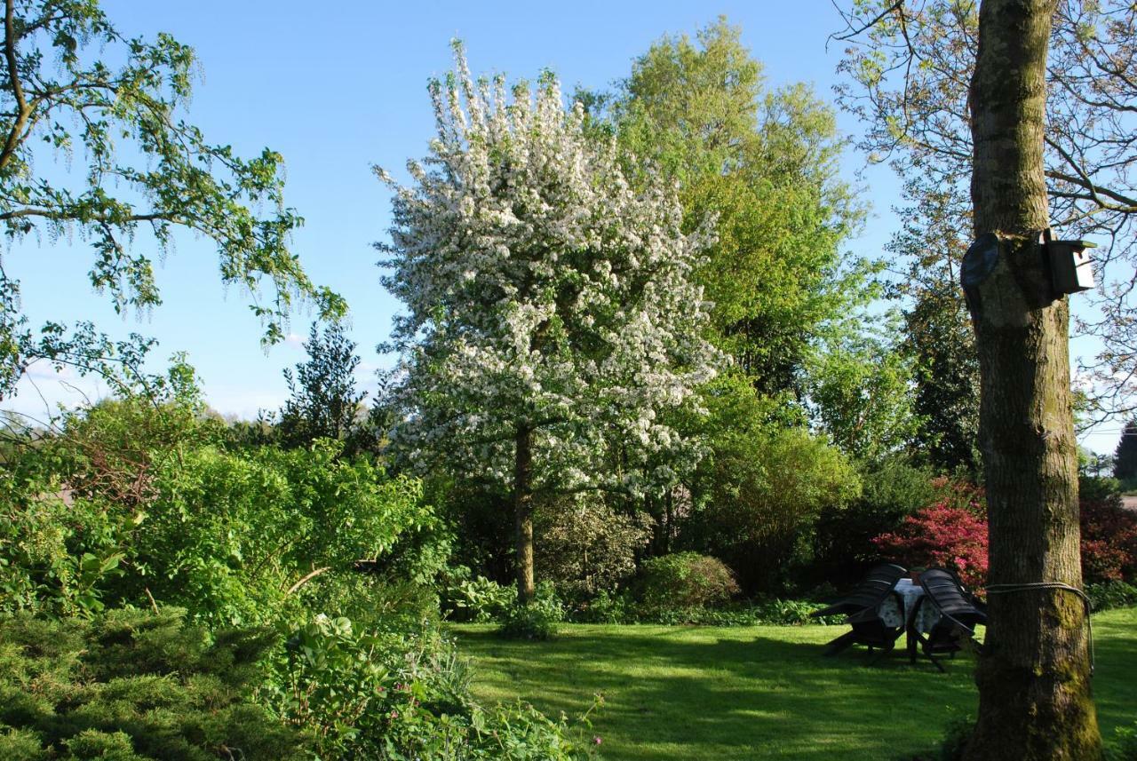 De Riekhoff Villa Een-West Kültér fotó